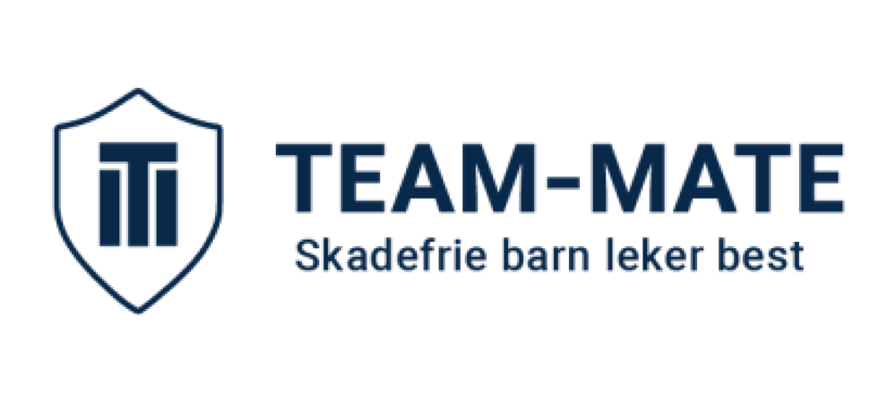 Logo Team-Mate